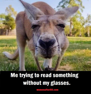 1667778666549.png