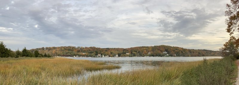IMG_7985.jpg