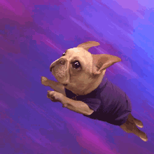 1667838828631.gif 1667838828631.gif