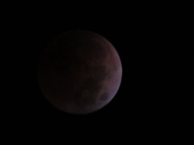 IMG_6386.JPG