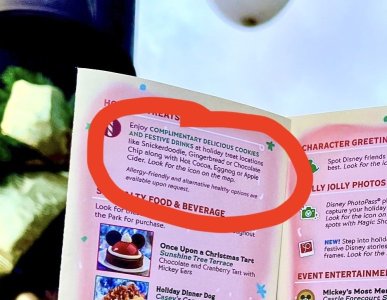 2022-wdw-magic-kingdom-very-merry-christmas-party-park-map-mcmvp-inside.jpeg