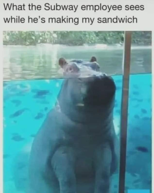 1668045518721.png