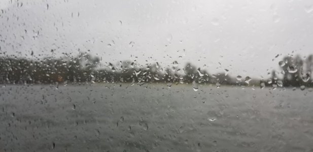 20221109_132931.jpg
