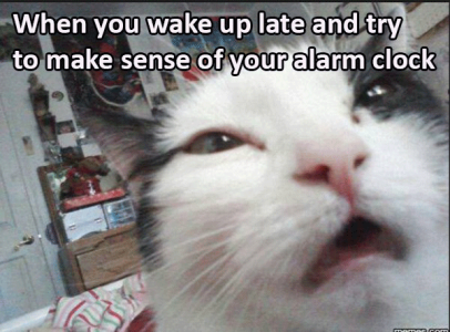 C5C29869-DB59-41E6-862B-753A6F60ED3A.png