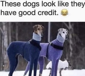 292B8B30-309E-4014-8682-C6E53831C977.jpeg