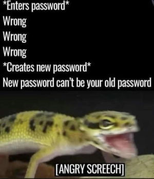 1668139659654.png