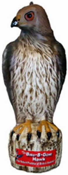 1668269911027.png