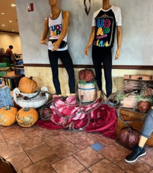 2401E343-0E76-48D0-92C7-ED4A5B420883.jpeg