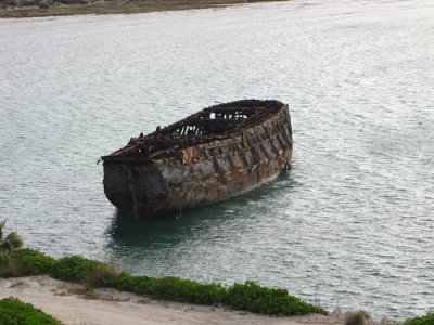 Flying Dutchman  Nov 2010.jpg