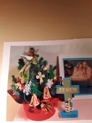 Evergreen, Christmas 2014.jpg