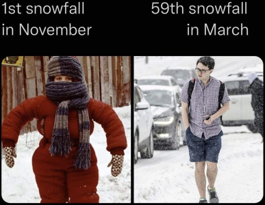 1668730867709.png