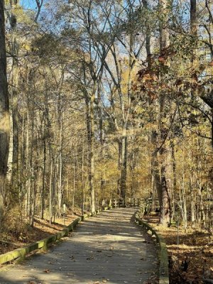 Greenway 3.jpg