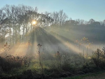 Greenway meadow.jpg