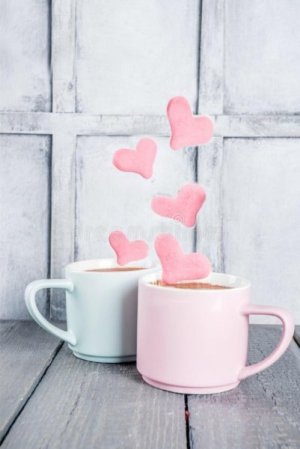 cocoa cups.jpg