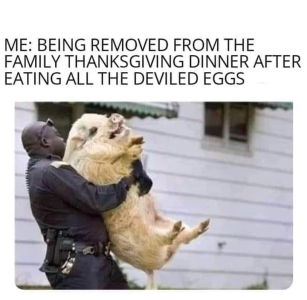 1669119306654.png
