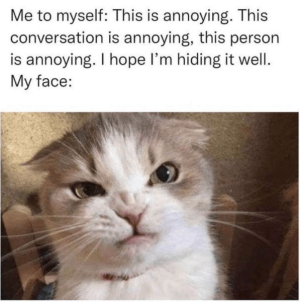 1669258538374.png