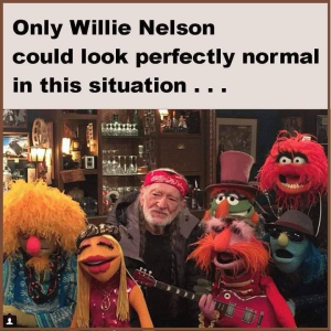 1669263485557.png
