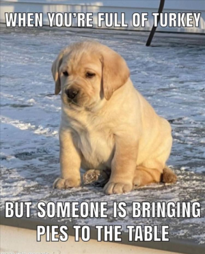 1669346578716.png