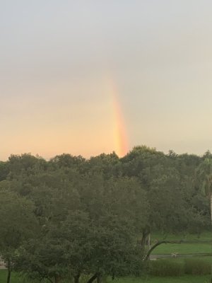 IMG_1627.JPEG