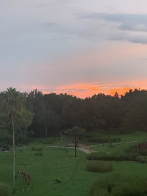 IMG_1636.JPEG