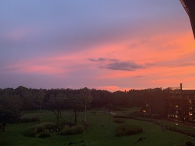 IMG_1637.JPEG