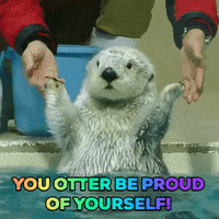 1669596299150.gif