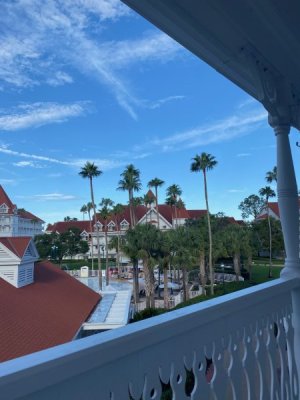 IMG_4699.jpg