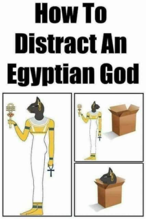 1669843808452.png