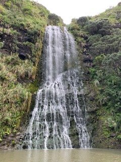 Day 1 Waterfall Piha.jpg