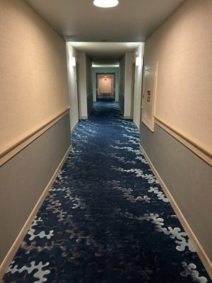 IMG_1814.JPG