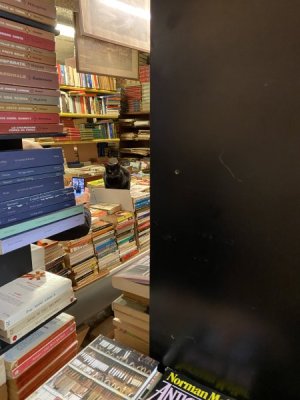 1669962169948.jpeg