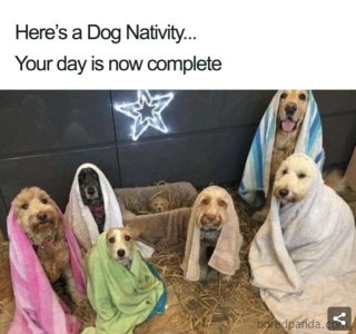 87F55C60-A954-4E66-8911-035F0A37EBAD.jpeg