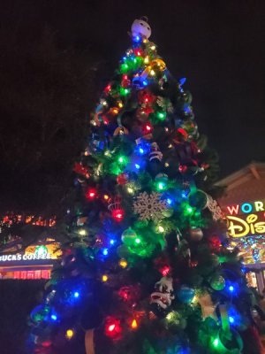20221119_193430.jpg