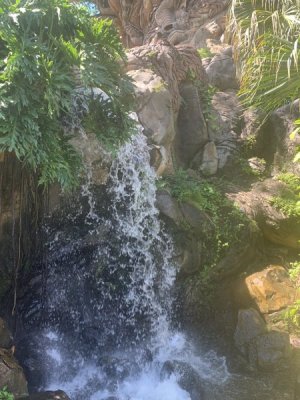 IMG_1643.JPEG