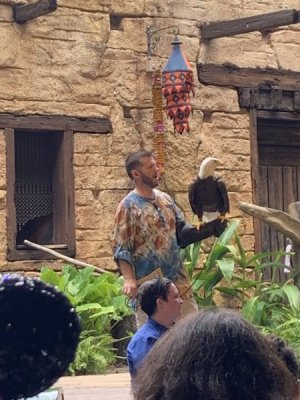 IMG_1664.JPEG
