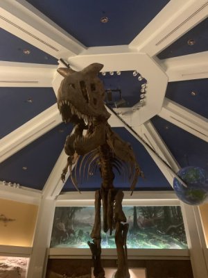 IMG_1647.JPEG