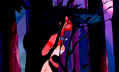 1670116556194.gif