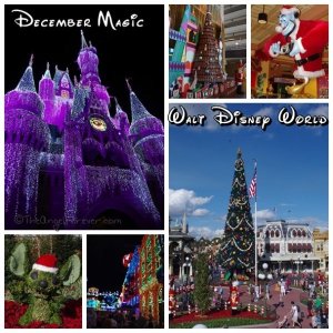 December-at-Walt-Disney-World.jpg