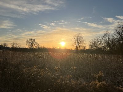 0343374B-DB75-45F7-8721-44184F9289F1.jpeg