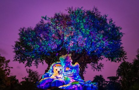 merry-menagerie-christmas-animal-kingdom-disney-world-380.jpg