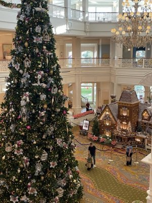 15A1FEB9-A41B-4895-A9C3-D6AA6D15976B.jpeg