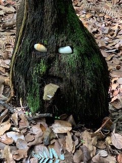 Day 3 forest 3.jpg