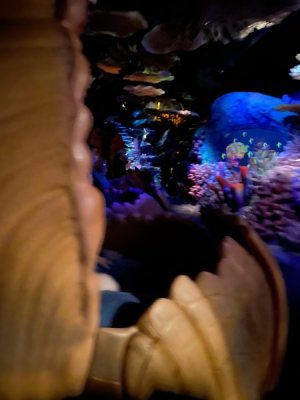 IMG_4121.JPEG