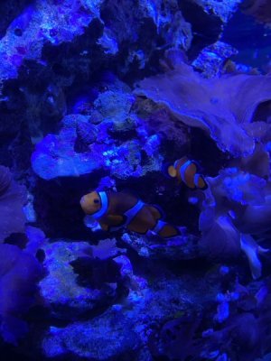 IMG_4126.JPEG