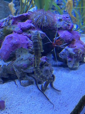 IMG_4130.JPEG