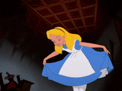 1670588373481.gif