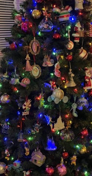 2507B1C2-9C8B-49AC-B463-C004F0959DE5.jpeg