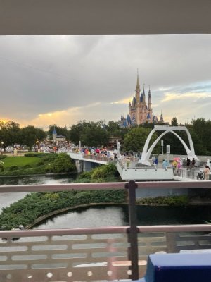 IMG_1681.jpeg