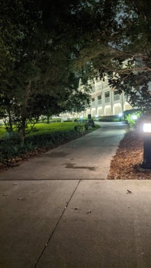 PXL_20221211_111554880.NIGHT.jpg
