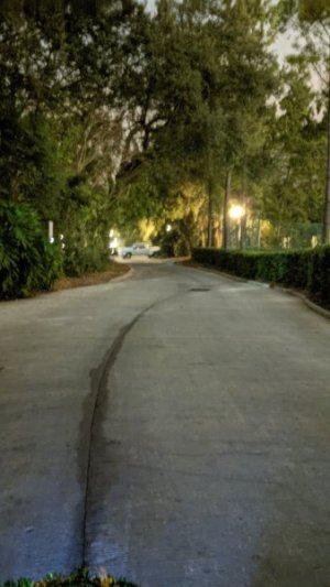 PXL_20221211_111656519.NIGHT.jpg